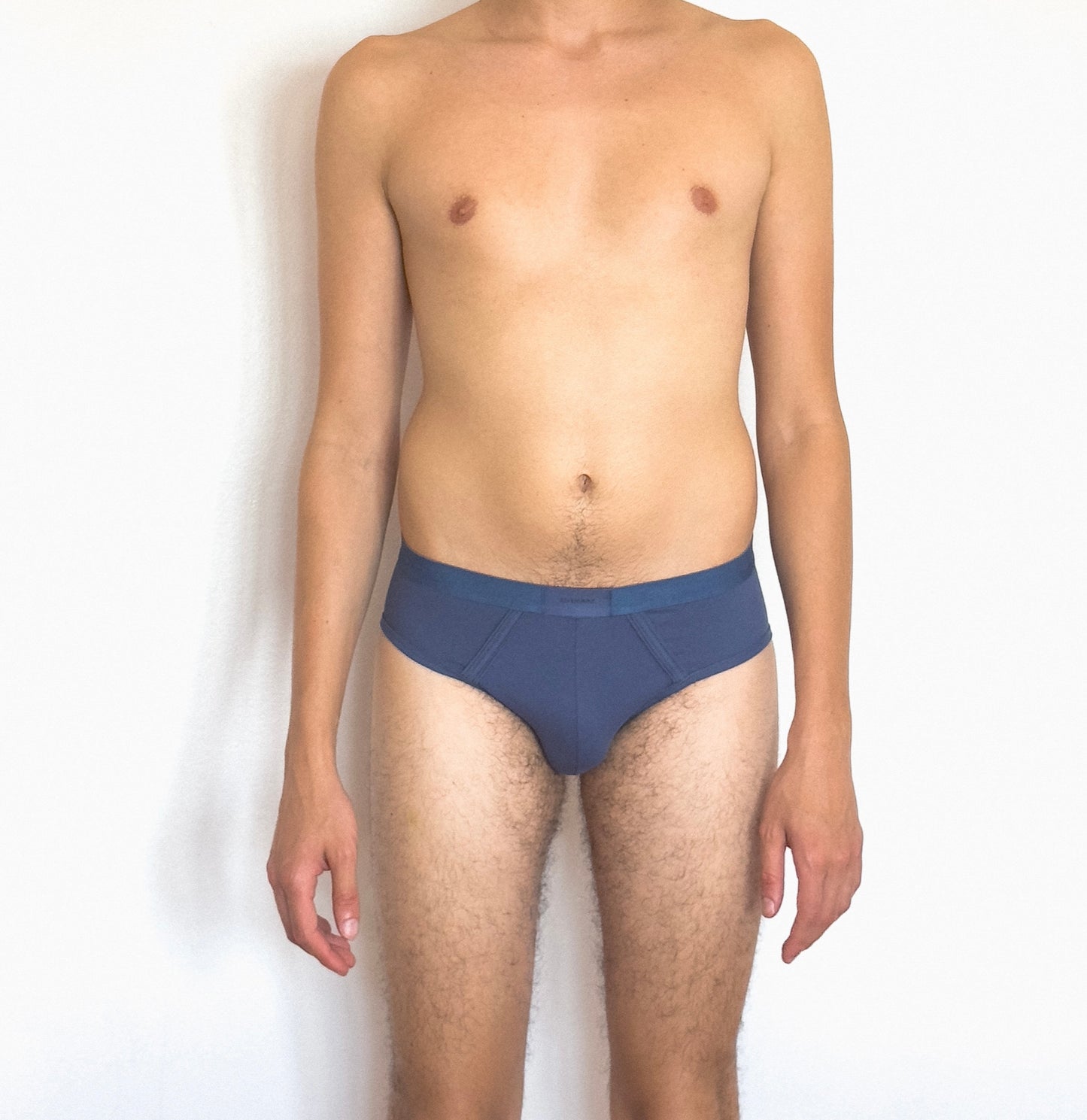 Brief Brown