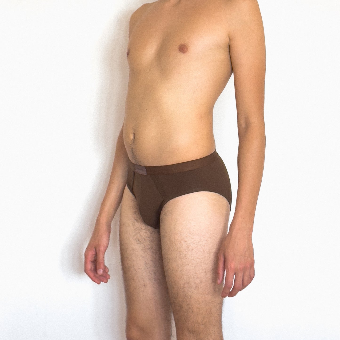 Brief Brown